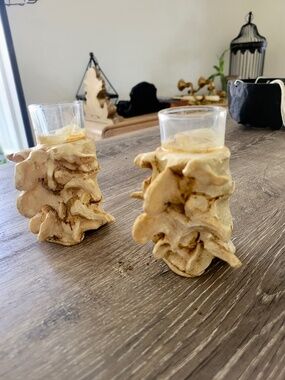 Vertebrate shot glass candle holders Oddity taxidermy